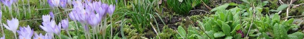 Die Gartenanlagen des Kleingärtnerverein Süd e.V. in Osnabrück